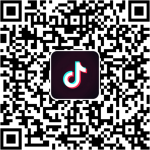 抖音小程序